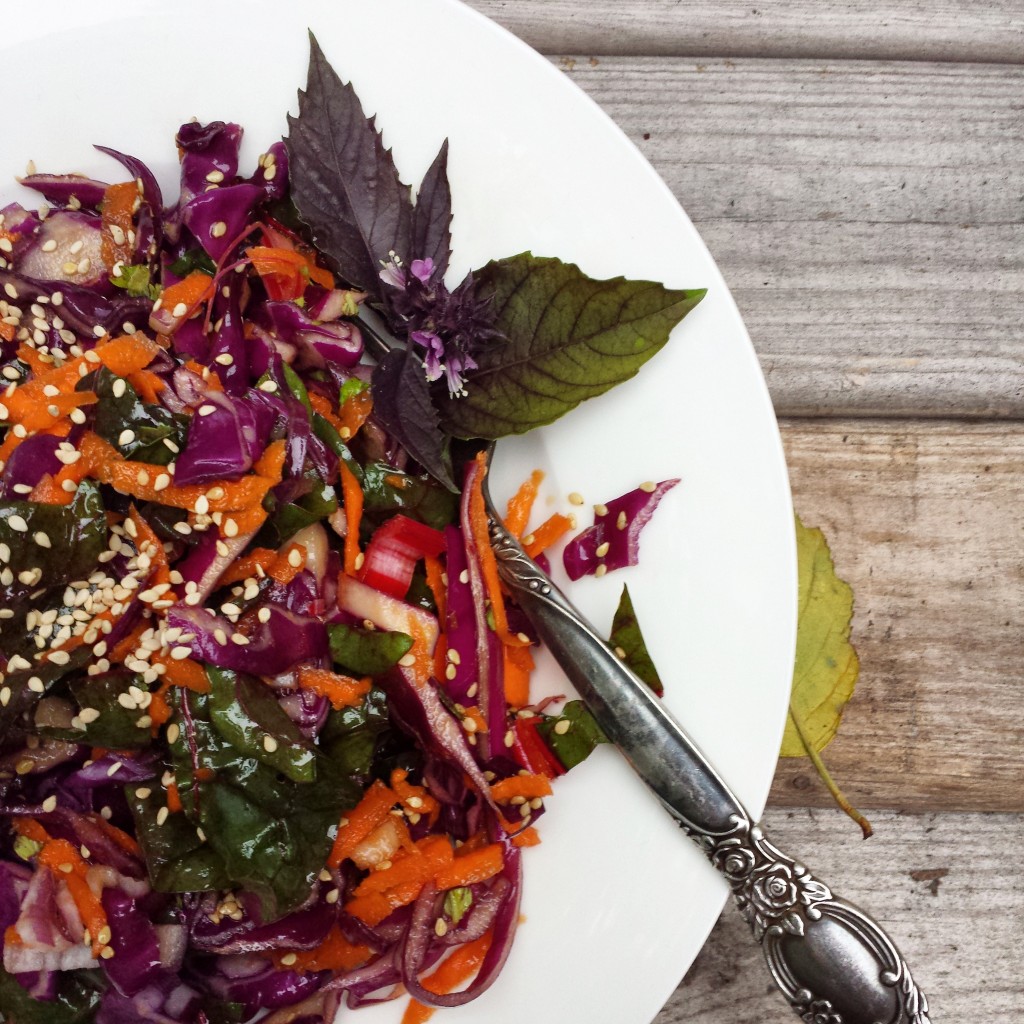 Asian Inspired Cabbage And Swiss Chard Salad Nosh Nerd 7089